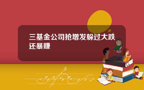三基金公司抢增发躲过大跌还暴赚