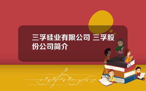 三孚硅业有限公司 三孚股份公司简介