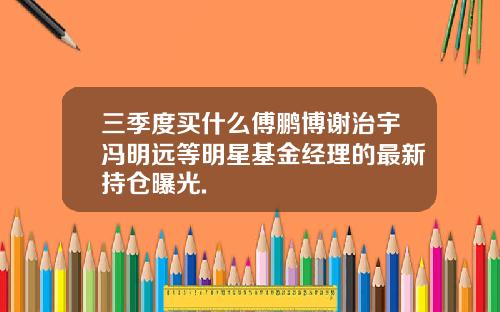 三季度买什么傅鹏博谢治宇冯明远等明星基金经理的最新持仓曝光.