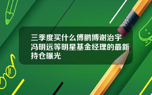 三季度买什么傅鹏博谢治宇冯明远等明星基金经理的最新持仓曝光