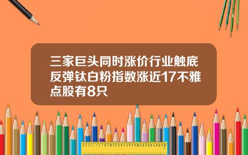三家巨头同时涨价行业触底反弹钛白粉指数涨近17不雅点股有8只