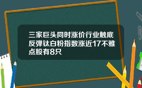 三家巨头同时涨价行业触底反弹钛白粉指数涨近17不雅点股有8只
