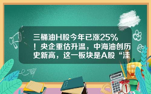 三桶油H股今年已涨25%！央企重估升温，中海油创历史新高，这一板块是A股“洼地“-a股炼油公司