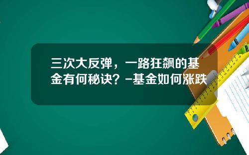 三次大反弹，一路狂飙的基金有何秘诀？-基金如何涨跌