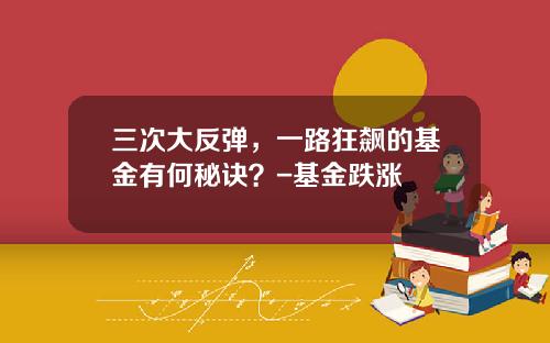 三次大反弹，一路狂飙的基金有何秘诀？-基金跌涨