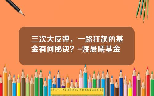 三次大反弹，一路狂飙的基金有何秘诀？-姚晨曦基金