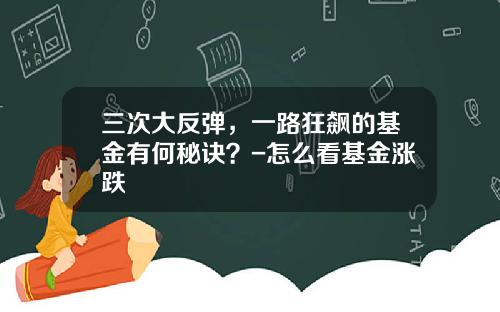 三次大反弹，一路狂飙的基金有何秘诀？-怎么看基金涨跌