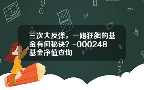 三次大反弹，一路狂飙的基金有何秘诀？-000248基金净值查询