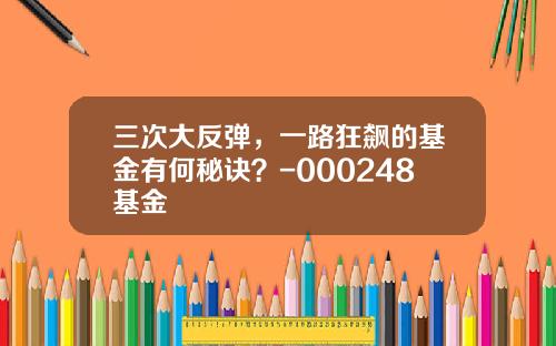 三次大反弹，一路狂飙的基金有何秘诀？-000248基金