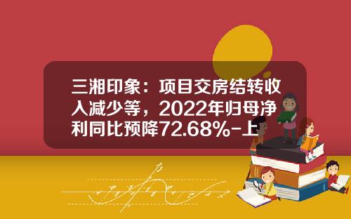 三湘印象：项目交房结转收入减少等，2022年归母净利同比预降72.68%-上海湘虹置业有限公司