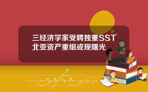 三经济学家受聘独董SST北亚资产重组或现曙光