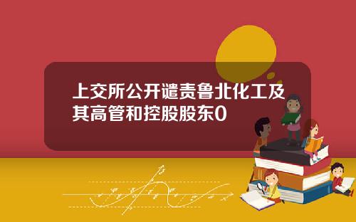 上交所公开谴责鲁北化工及其高管和控股股东0