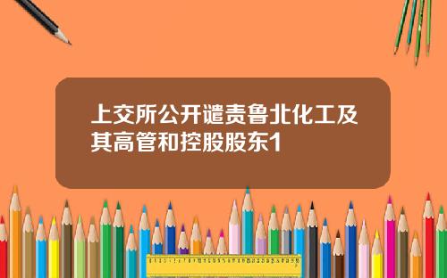 上交所公开谴责鲁北化工及其高管和控股股东1