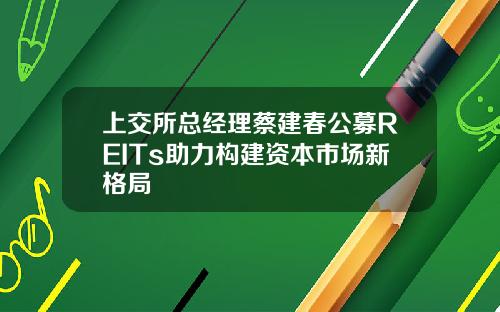 上交所总经理蔡建春公募REITs助力构建资本市场新格局