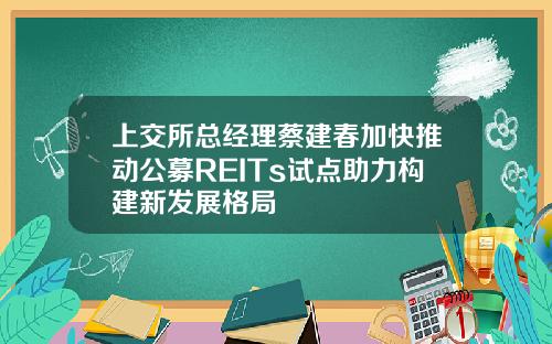 上交所总经理蔡建春加快推动公募REITs试点助力构建新发展格局