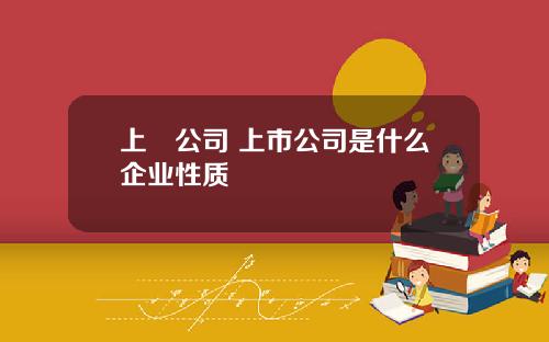 上巿公司 上市公司是什么企业性质