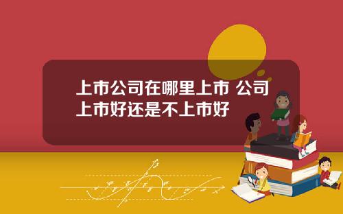 上市公司在哪里上市 公司上市好还是不上市好