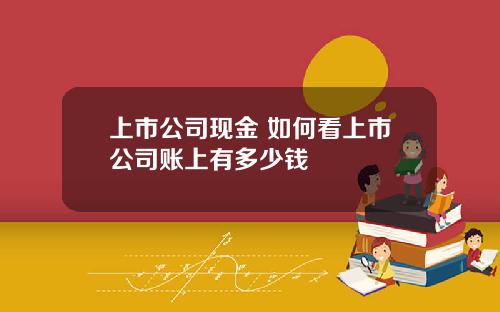 上市公司现金 如何看上市公司账上有多少钱
