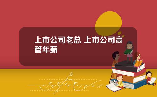 上市公司老总 上市公司高管年薪