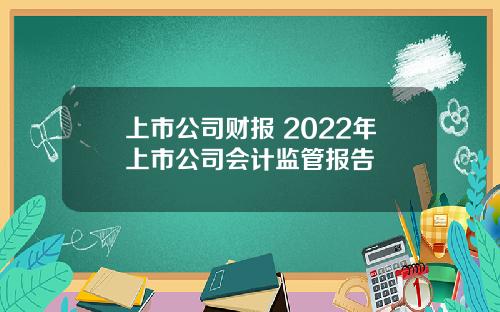 上市公司财报 2022年上市公司会计监管报告