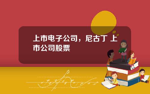 上市电子公司，尼古丁 上市公司股票