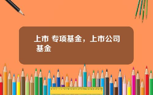 上市 专项基金，上市公司 基金
