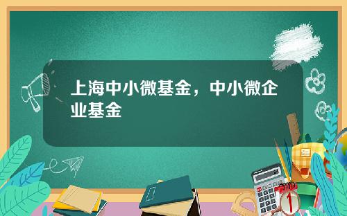 上海中小微基金，中小微企业基金