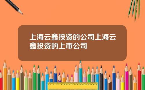 上海云鑫投资的公司上海云鑫投资的上市公司