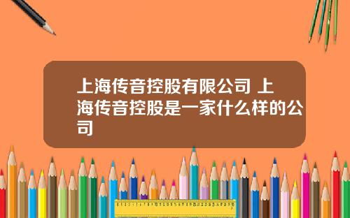 上海传音控股有限公司 上海传音控股是一家什么样的公司
