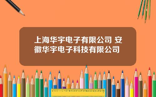 上海华宇电子有限公司 安徽华宇电子科技有限公司