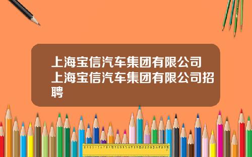 上海宝信汽车集团有限公司上海宝信汽车集团有限公司招聘