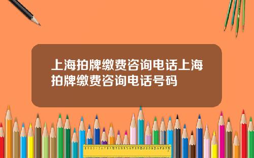 上海拍牌缴费咨询电话上海拍牌缴费咨询电话号码
