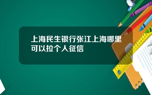 上海民生银行张江上海哪里可以拉个人征信