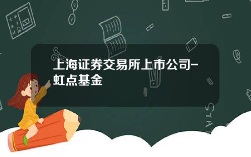 上海证券交易所上市公司-虹点基金