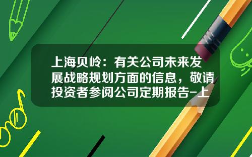 上海贝岭：有关公司未来发展战略规划方面的信息，敬请投资者参阅公司定期报告-上海贝岭股份有限公司