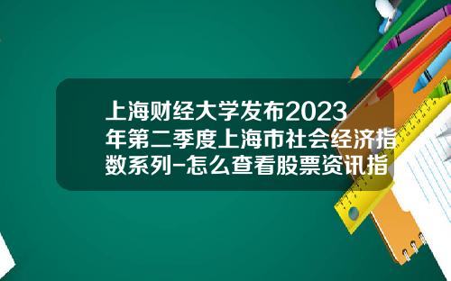 上海财经大学发布2023年第二季度上海市社会经济指数系列-怎么查看股票资讯指数分析