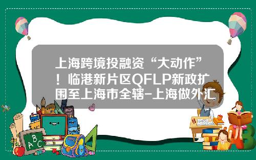 上海跨境投融资“大动作”！临港新片区QFLP新政扩围至上海市全辖-上海做外汇的投资公司