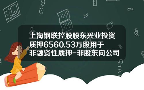 上海钢联控股股东兴业投资质押6560.53万股用于非融资性质押-非股东向公司投资