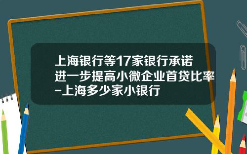 上海银行等17家银行承诺进一步提高小微企业首贷比率-上海多少家小银行