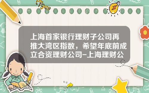 上海首家银行理财子公司再推大湾区指数，希望年底前成立合资理财公司-上海理财公司