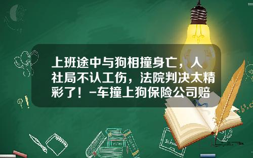 上班途中与狗相撞身亡，人社局不认工伤，法院判决太精彩了！-车撞上狗保险公司赔吗.