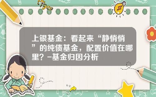 上银基金：看起来“静悄悄”的纯债基金，配置价值在哪里？-基金归因分析