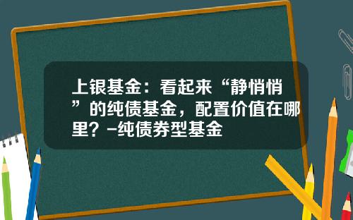 上银基金：看起来“静悄悄”的纯债基金，配置价值在哪里？-纯债券型基金
