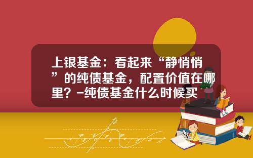 上银基金：看起来“静悄悄”的纯债基金，配置价值在哪里？-纯债基金什么时候买