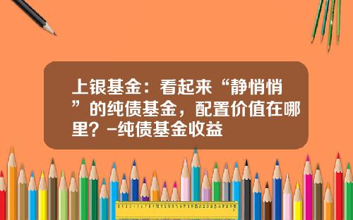 上银基金：看起来“静悄悄”的纯债基金，配置价值在哪里？-纯债基金收益