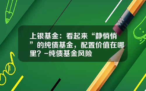 上银基金：看起来“静悄悄”的纯债基金，配置价值在哪里？-纯债基金风险