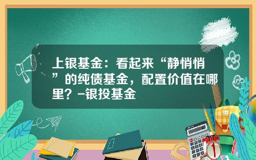 上银基金：看起来“静悄悄”的纯债基金，配置价值在哪里？-银投基金