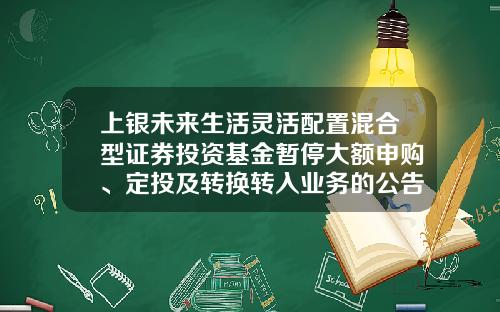 上银未来生活灵活配置混合型证券投资基金暂停大额申购、定投及转换转入业务的公告-定投基金转换