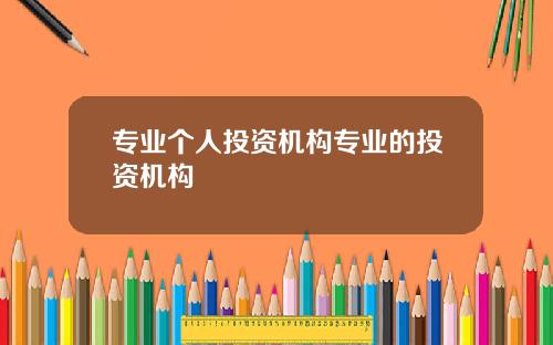 专业个人投资机构专业的投资机构