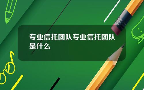 专业信托团队专业信托团队是什么